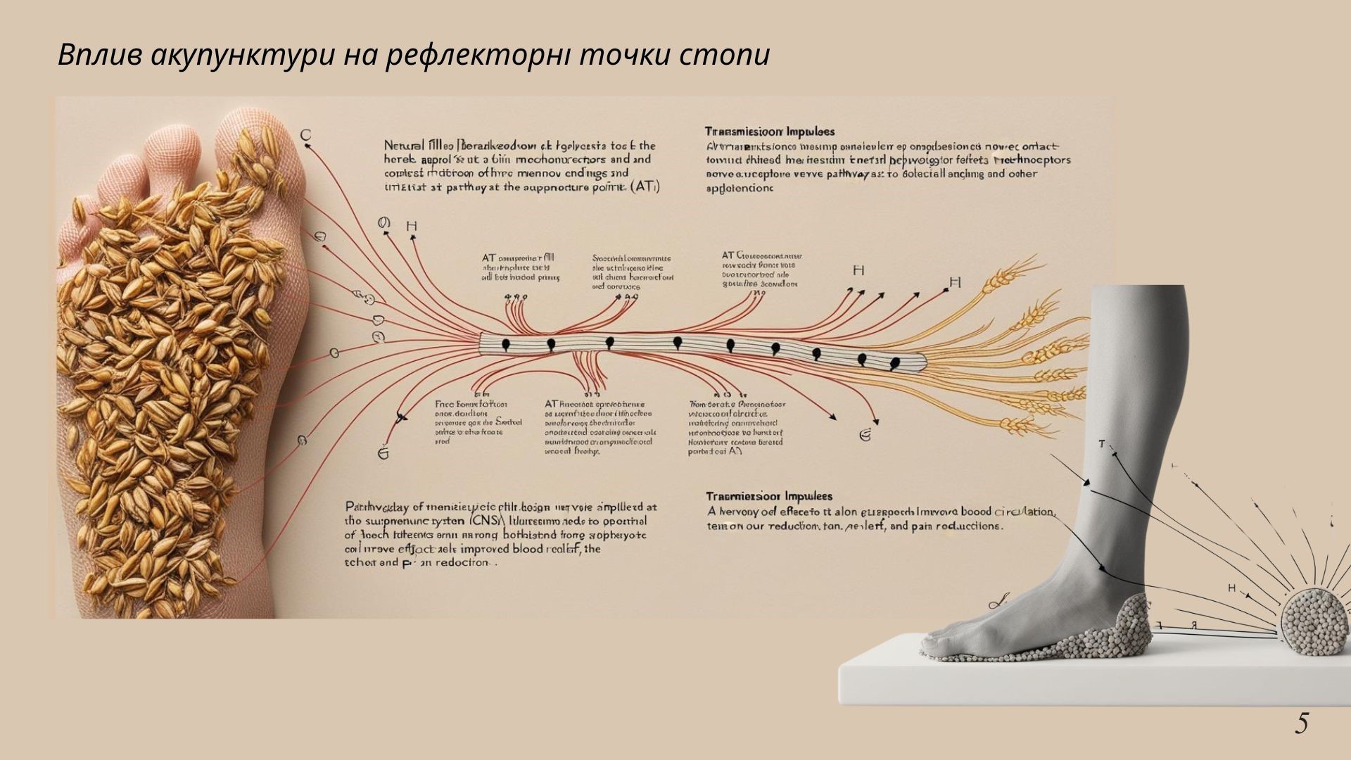 Congratulations to more prizewinners of Stage II of the Junior Academy of Sciences of Ukraine!