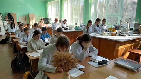 Introductory placement